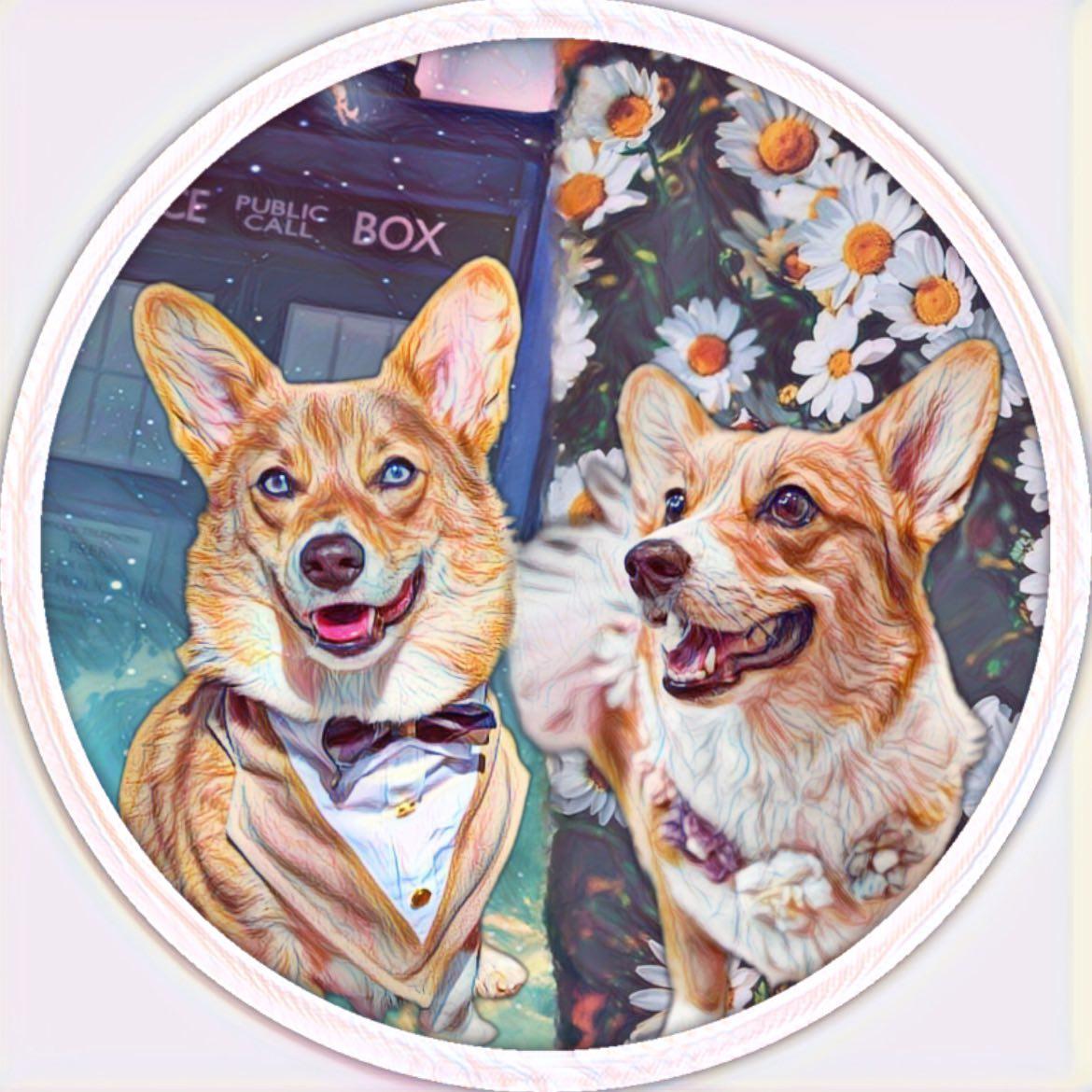 @alfiestormageddondarklord