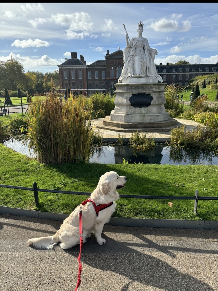 @httpswwwtiktokcommaybemashka-t8qvcokb7ck0-r1