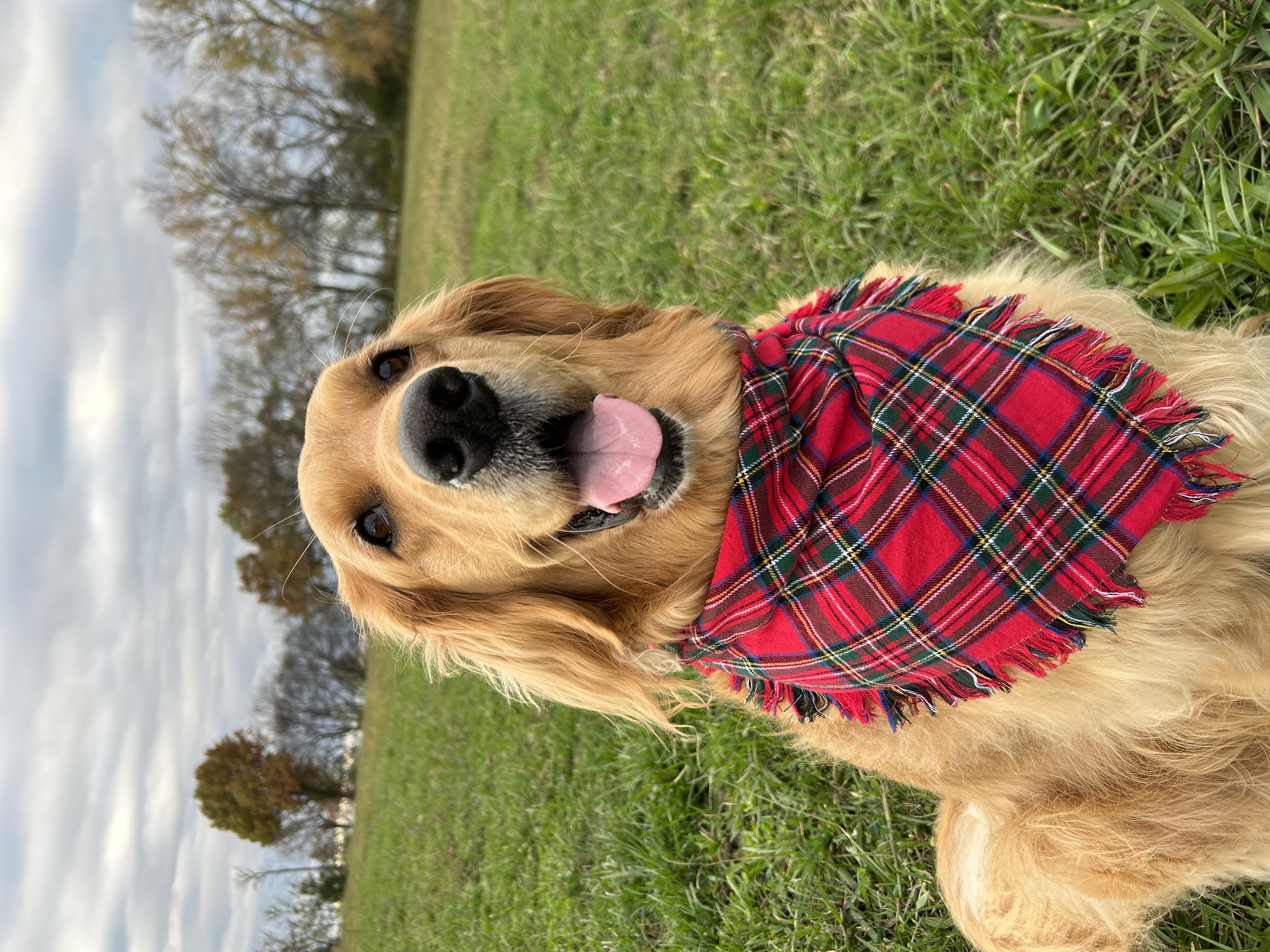 @farm-life-with-court