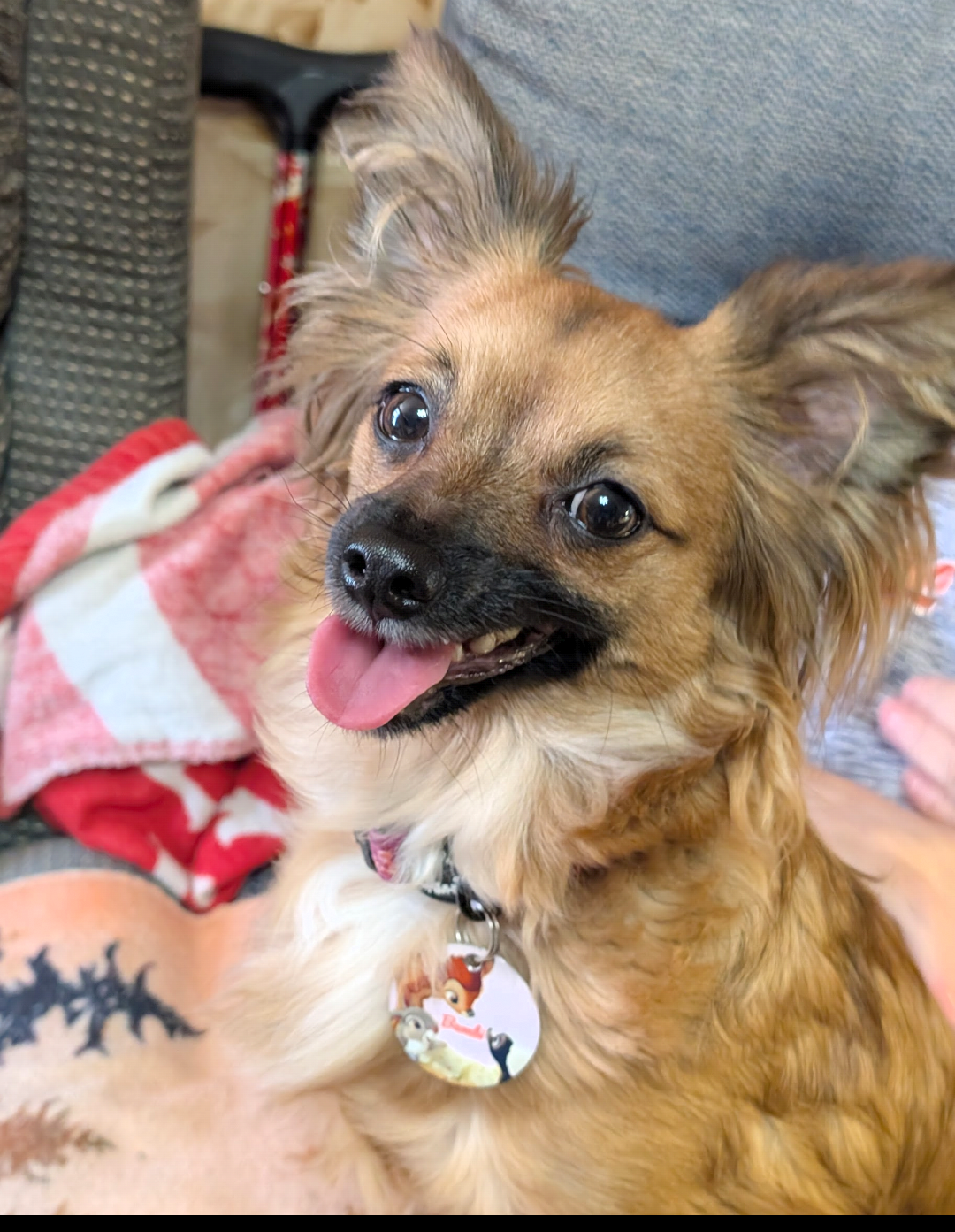 @its-a-bambi-thing-2