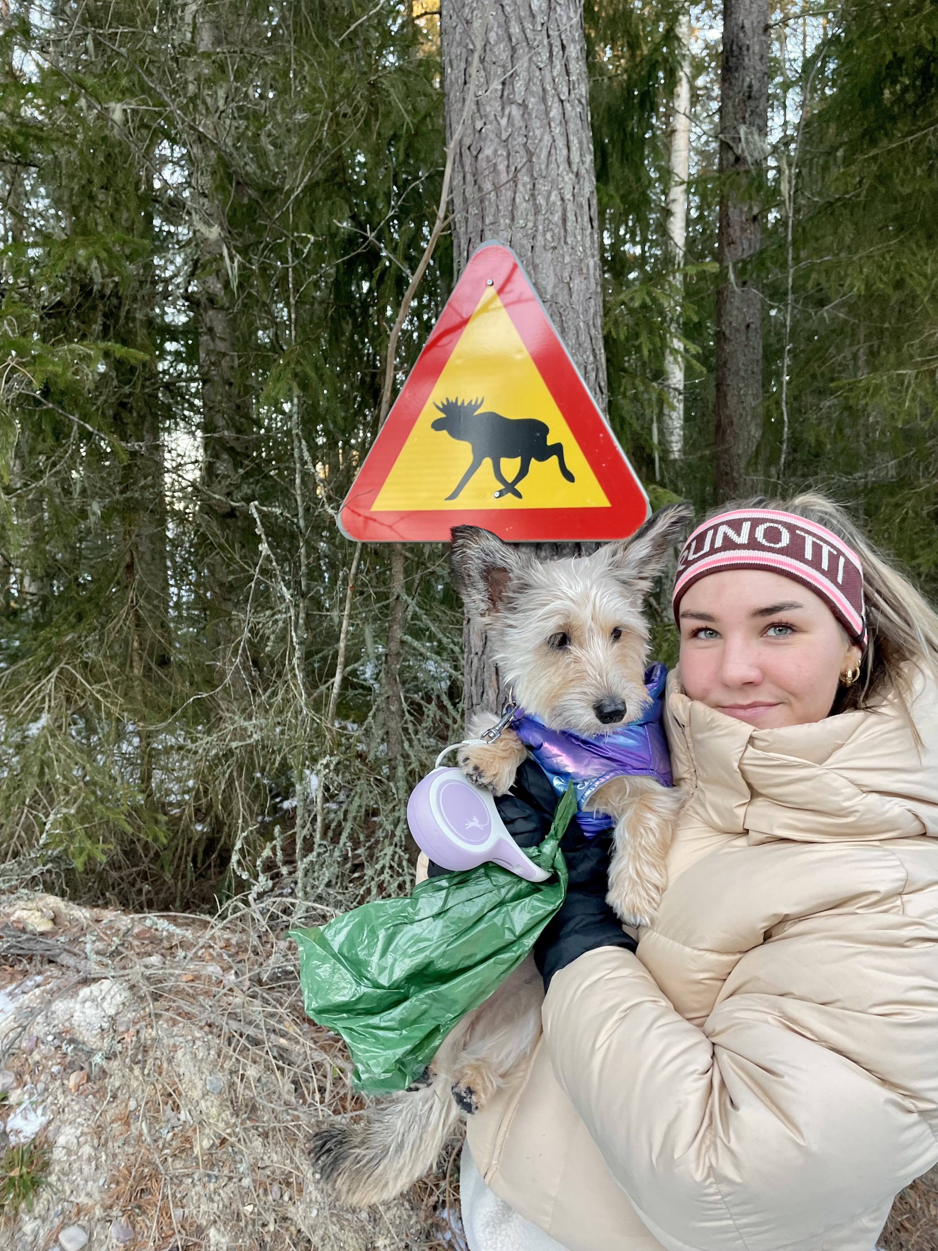 @bambiefromthecanary