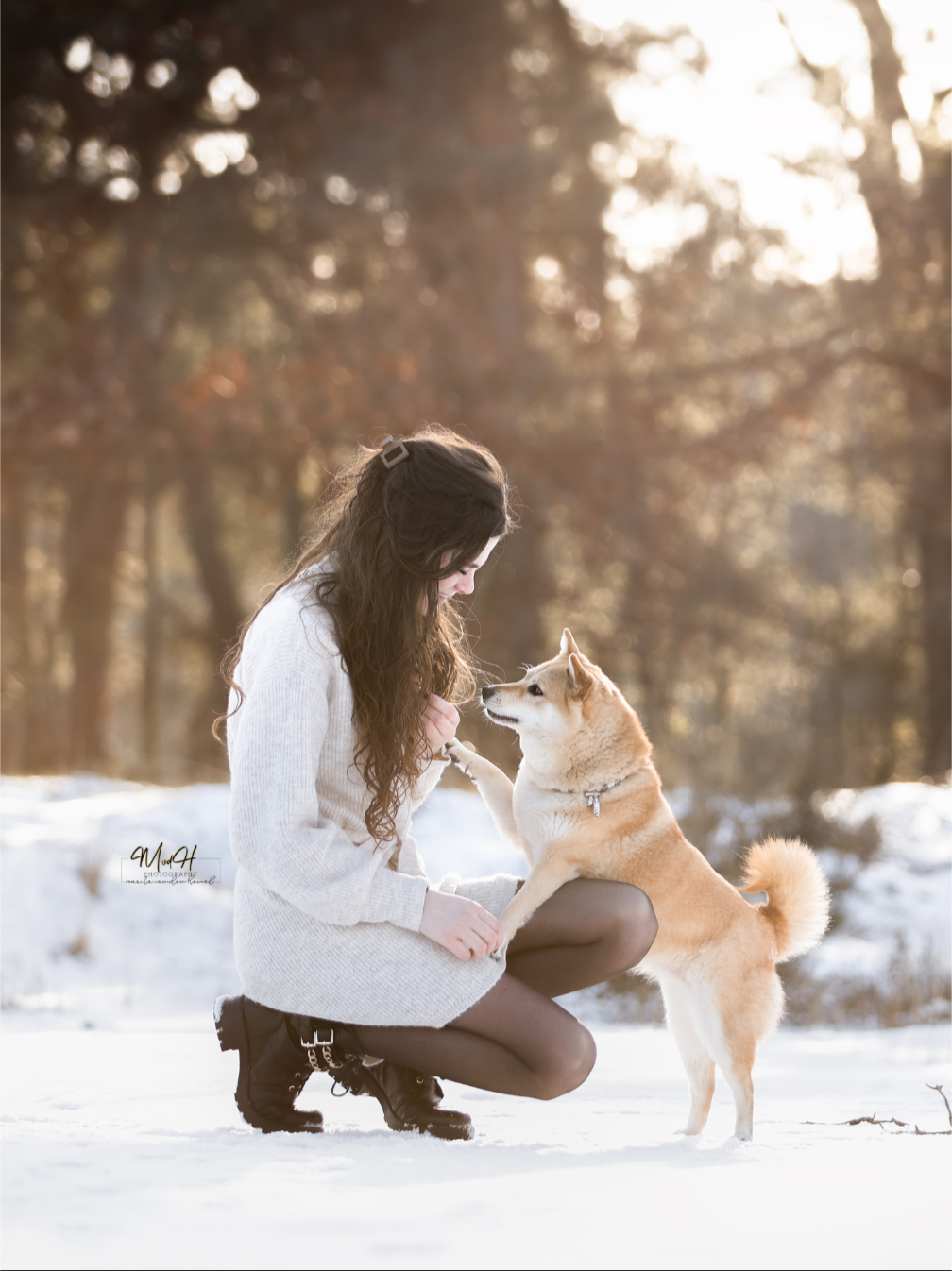 @shibainupip