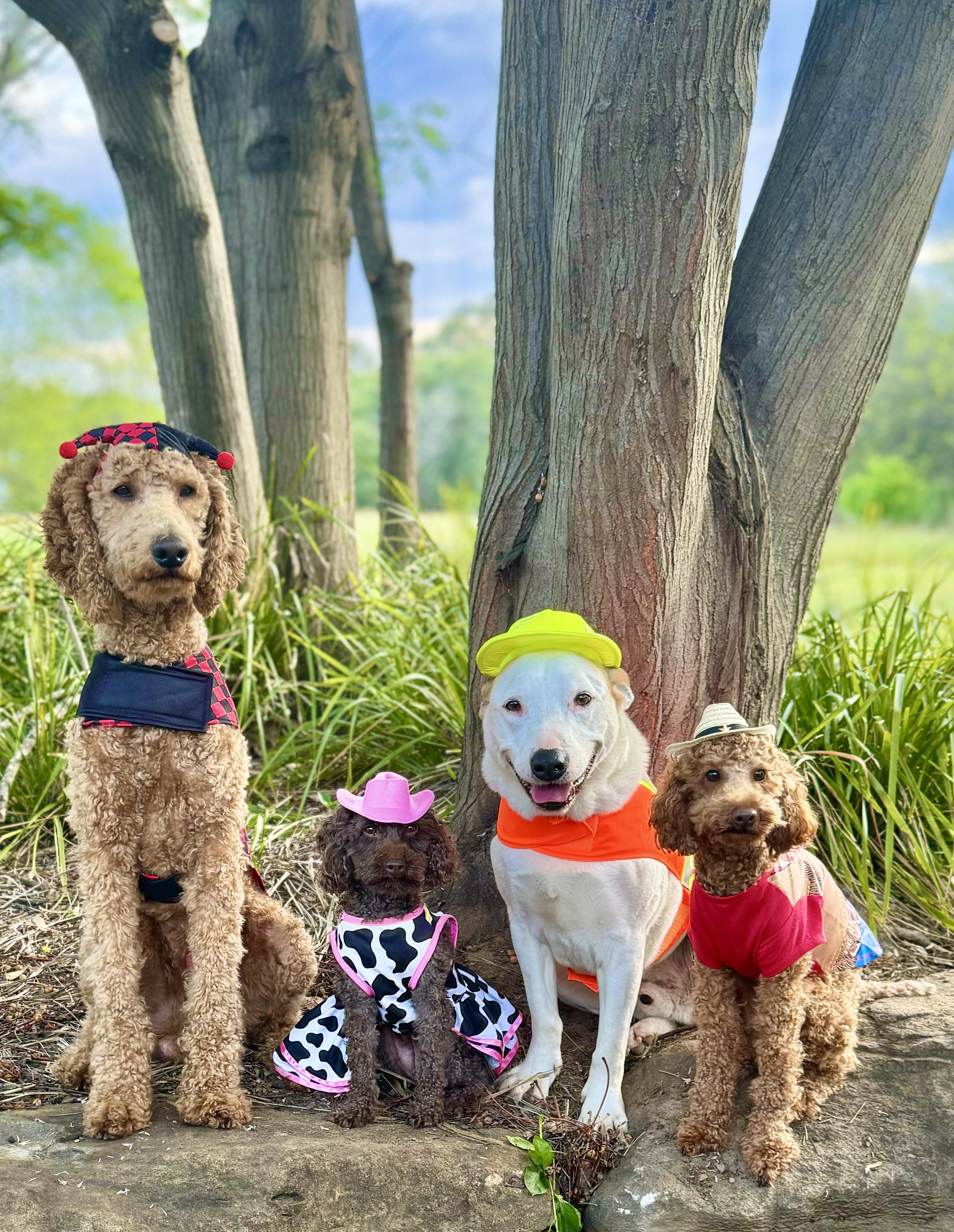 @myfurrloves