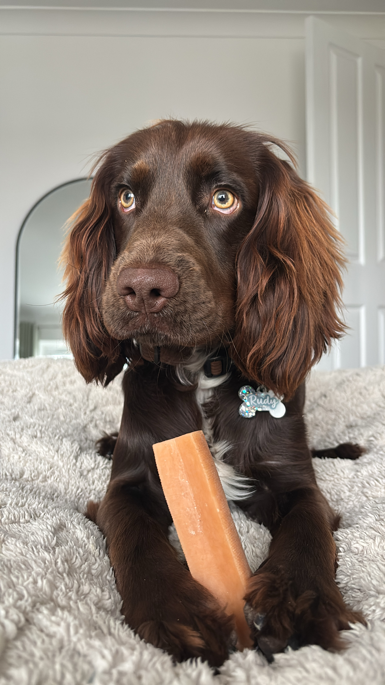 @rudythesprocker1