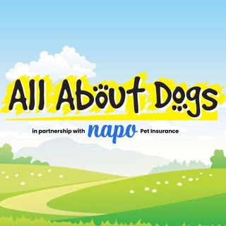 @allaboutdogsshow