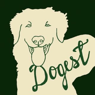 @dogest.cz