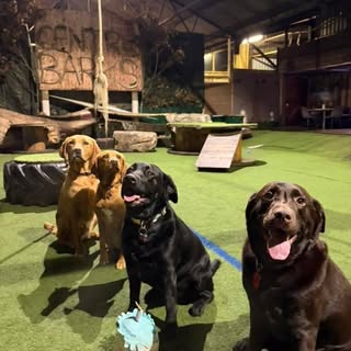 @centre_barks_