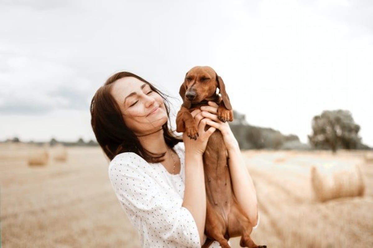 🎉 We introduce Dogfluence.com: The Influencer Platform for Dogs