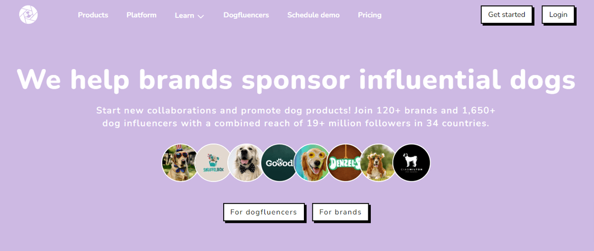 Check out: Top 5 Dogfluence.com Features + Best-Practices