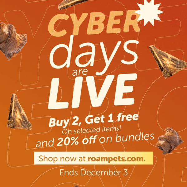 ROAM boosted post showing engagement metrics