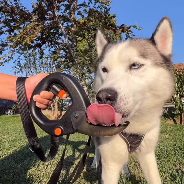 Spleash boosted post showing engagement metrics