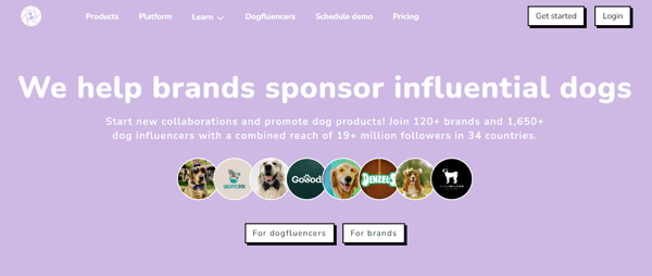 Check out: Top 5 Dogfluence.com Features + Best-Practices