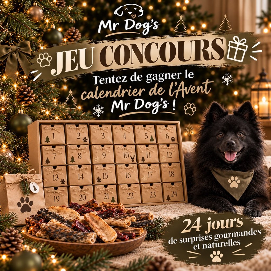 Un magnifique calendrier de l’Avent Solo pour votre toutou