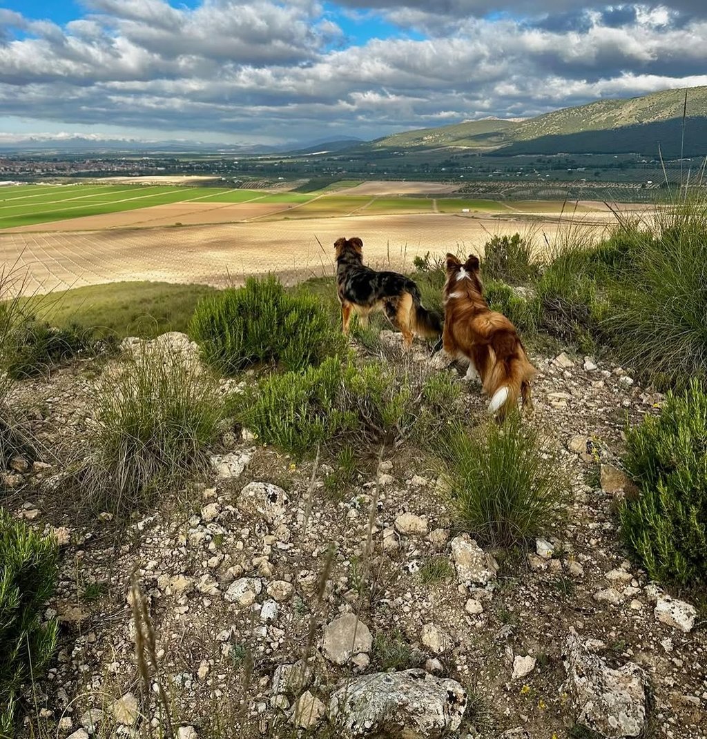 4-daags verblijf in huéscar, spanje