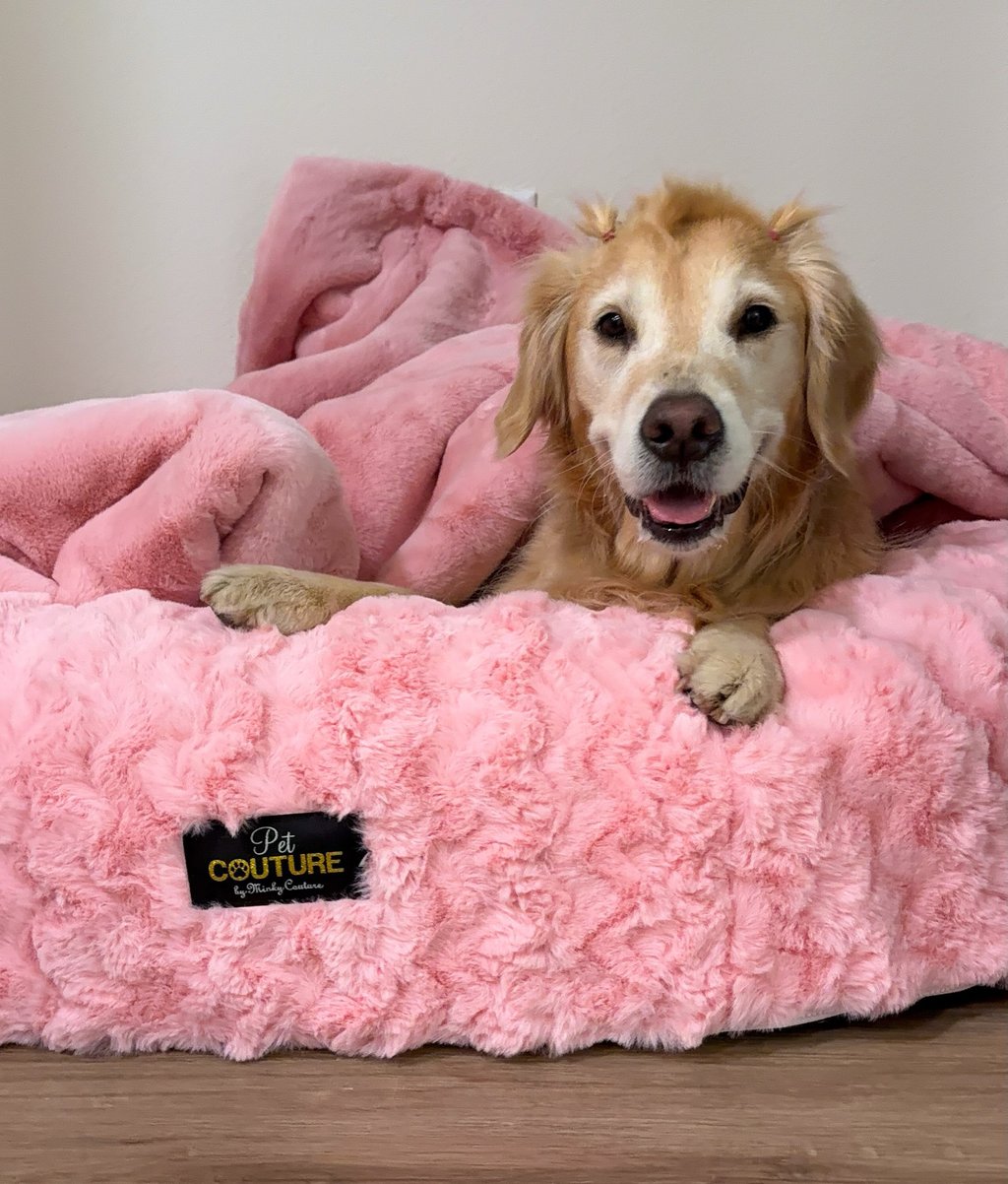 NEW bubblegum pink dog bed from @petcouture.co and a blanket from @minkycouture