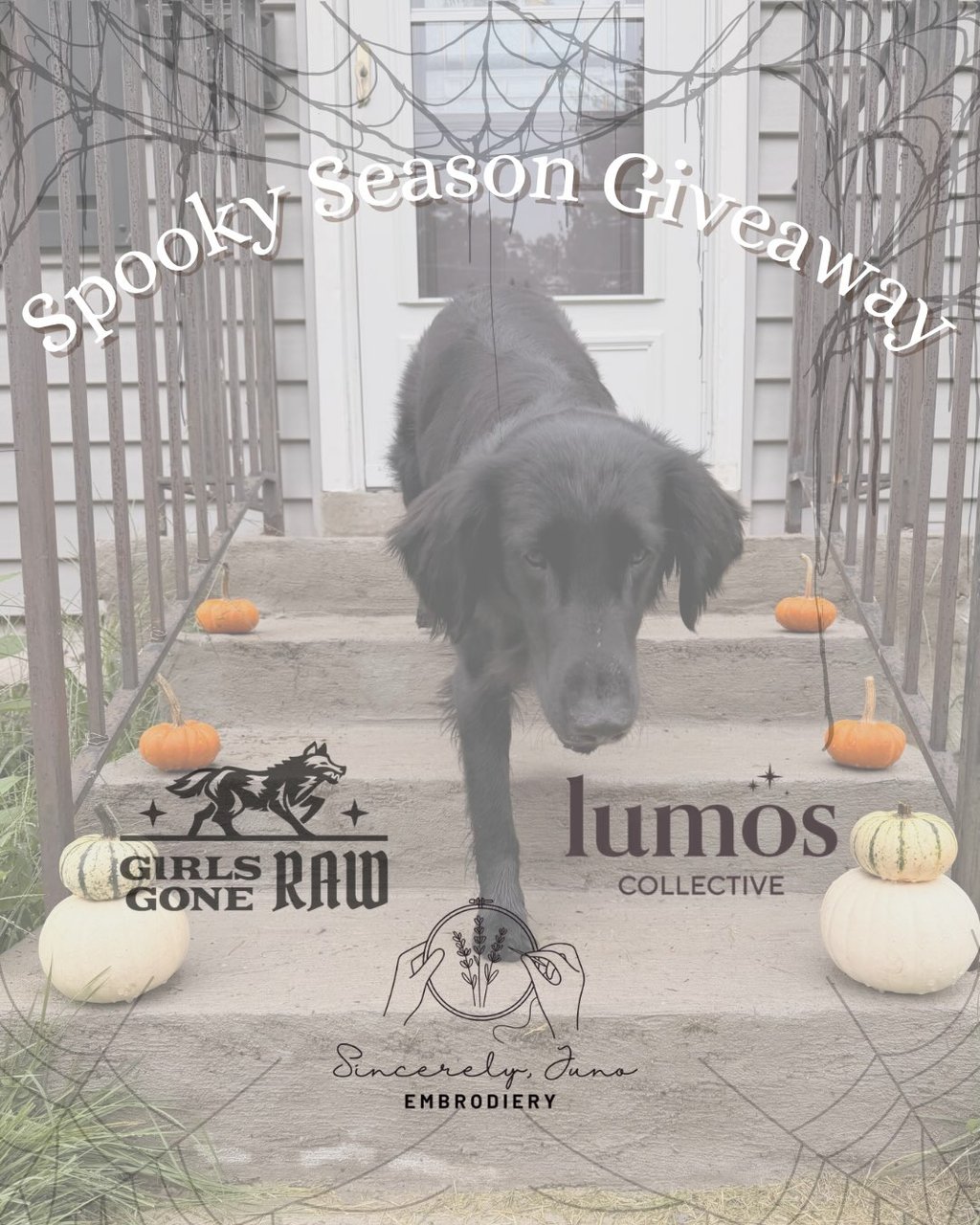 Sincerely, Juno custom ghost dog tote, Girls Gone Raw rabbit chews, and a Lumos Collective reiki oil and candle