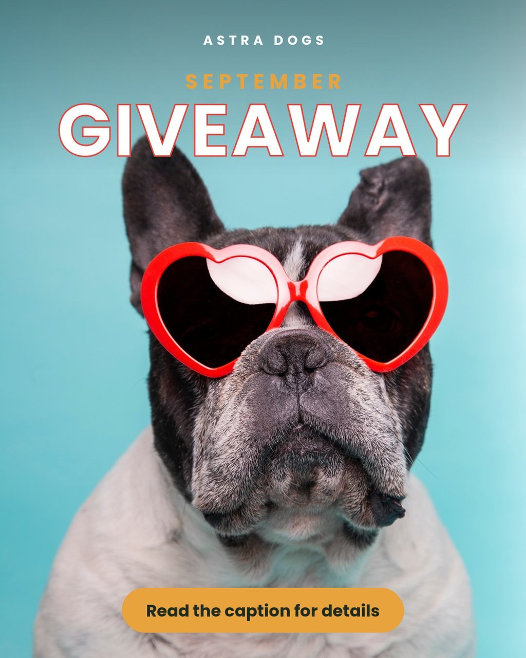 LIFETIME access to Astra Dogs
