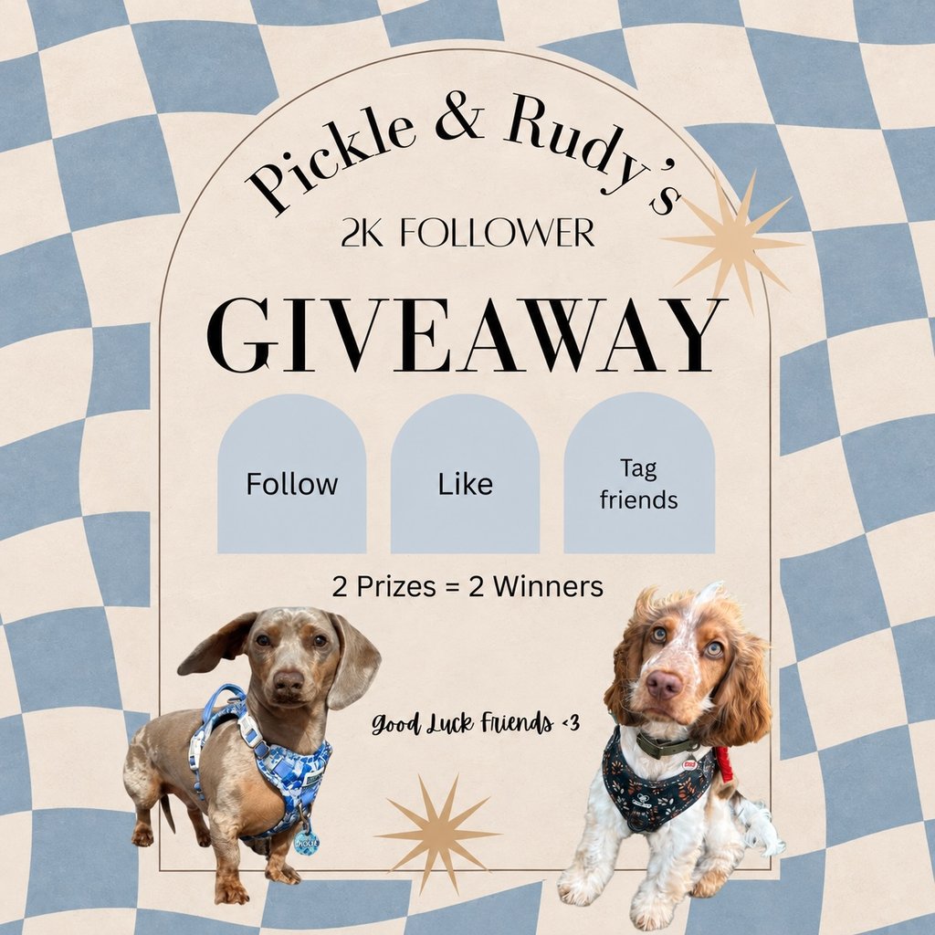Two prize bundles