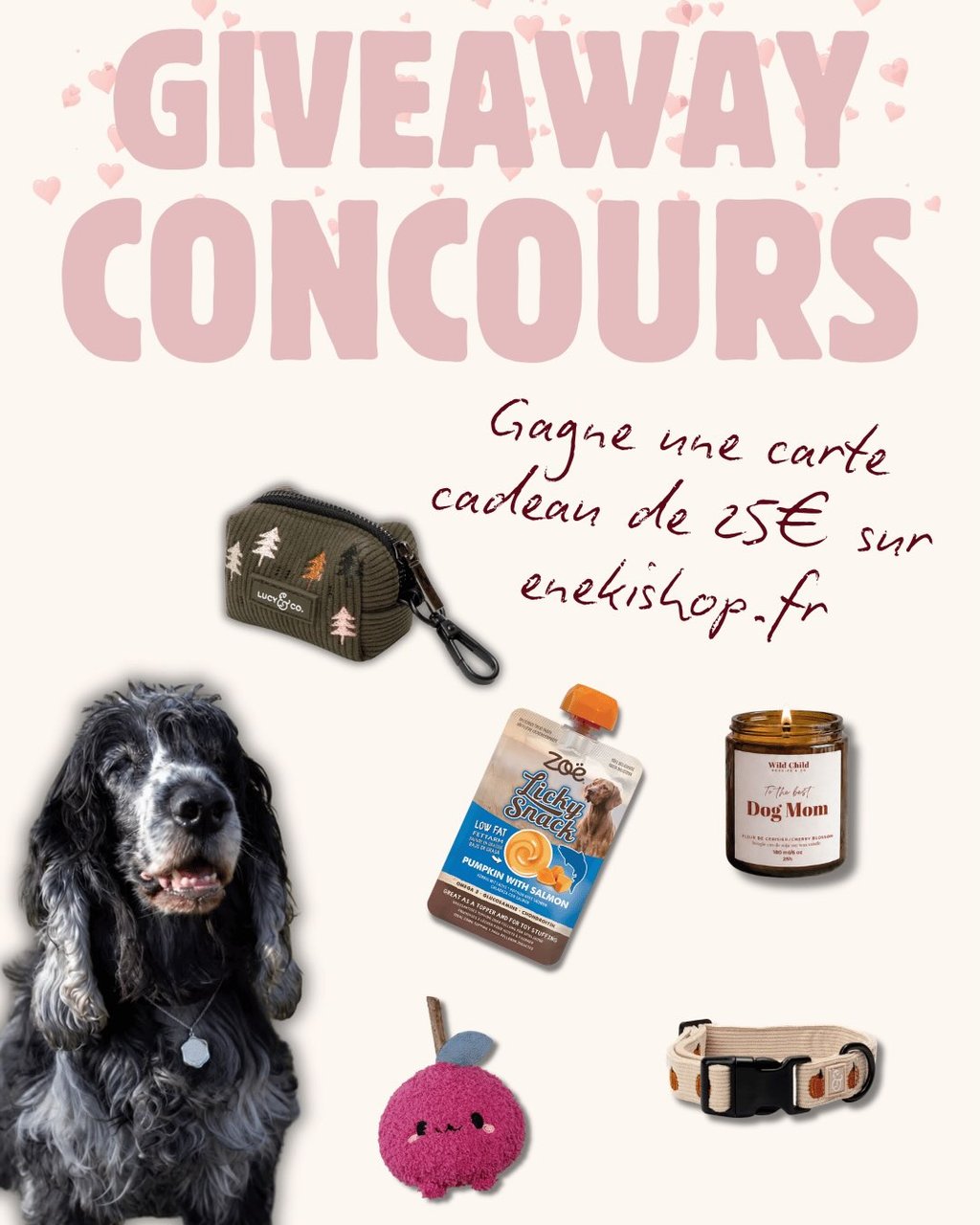 Illico's giveaway