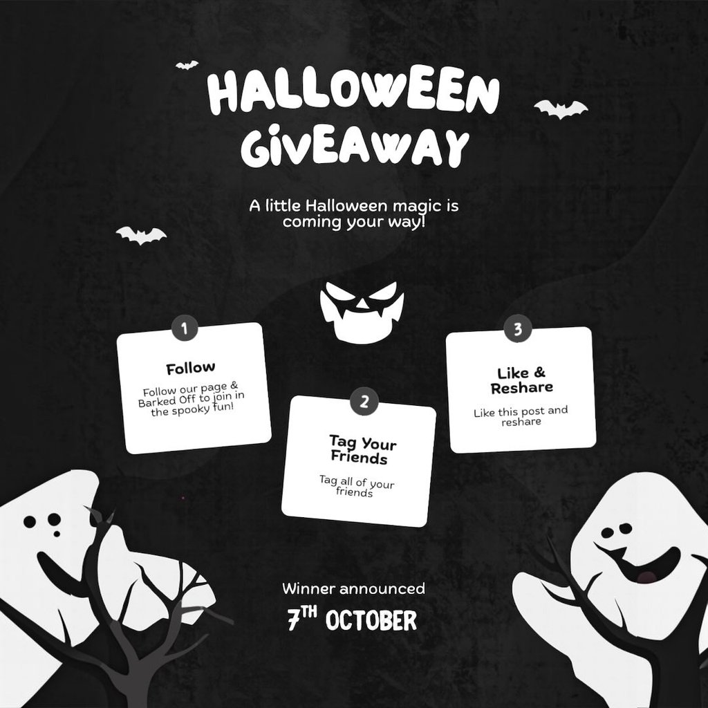 Halloween Pup Painting Kit ZippyPaws Pumpkin Spice Donutz 2 x Golden Barkery Cookies