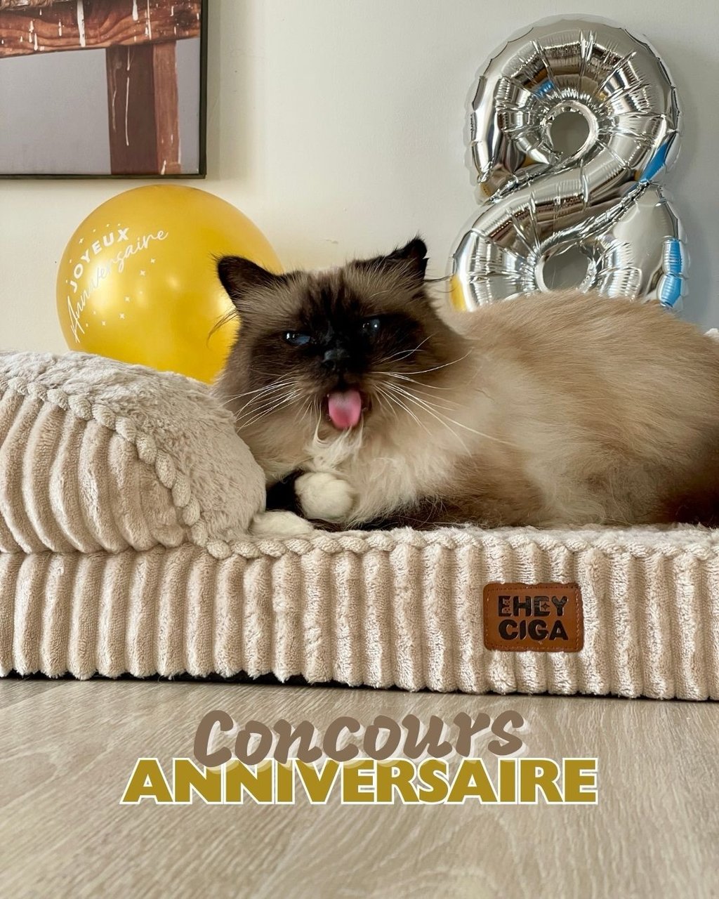 Un joli coussin pour ton chien ou pour ton chat