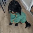 Ralph