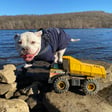Tonka