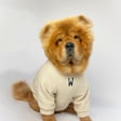 Winnie