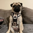 Frank