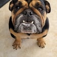 Fiona