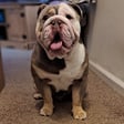 Butch