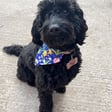 Mabel