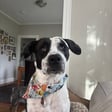 Redding