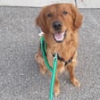 Tucker