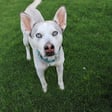 Izzie