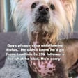 Rufus