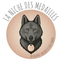 lanichedesmedailles