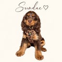 sundaegirlll