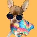 jack.o.thedoggo