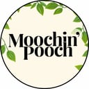 Moochin’ Pooch