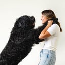 SalkaPet | low tox dog skincare