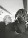 @thedeveloperandthedane