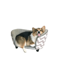 Brady
