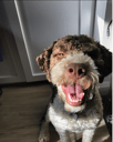 Reuben