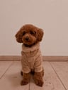 Bobbi