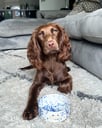 Milly