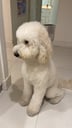 Lulu