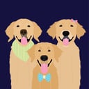 Flynn, Libby, & Gus