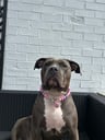 Narla