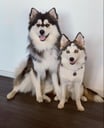 Mylo